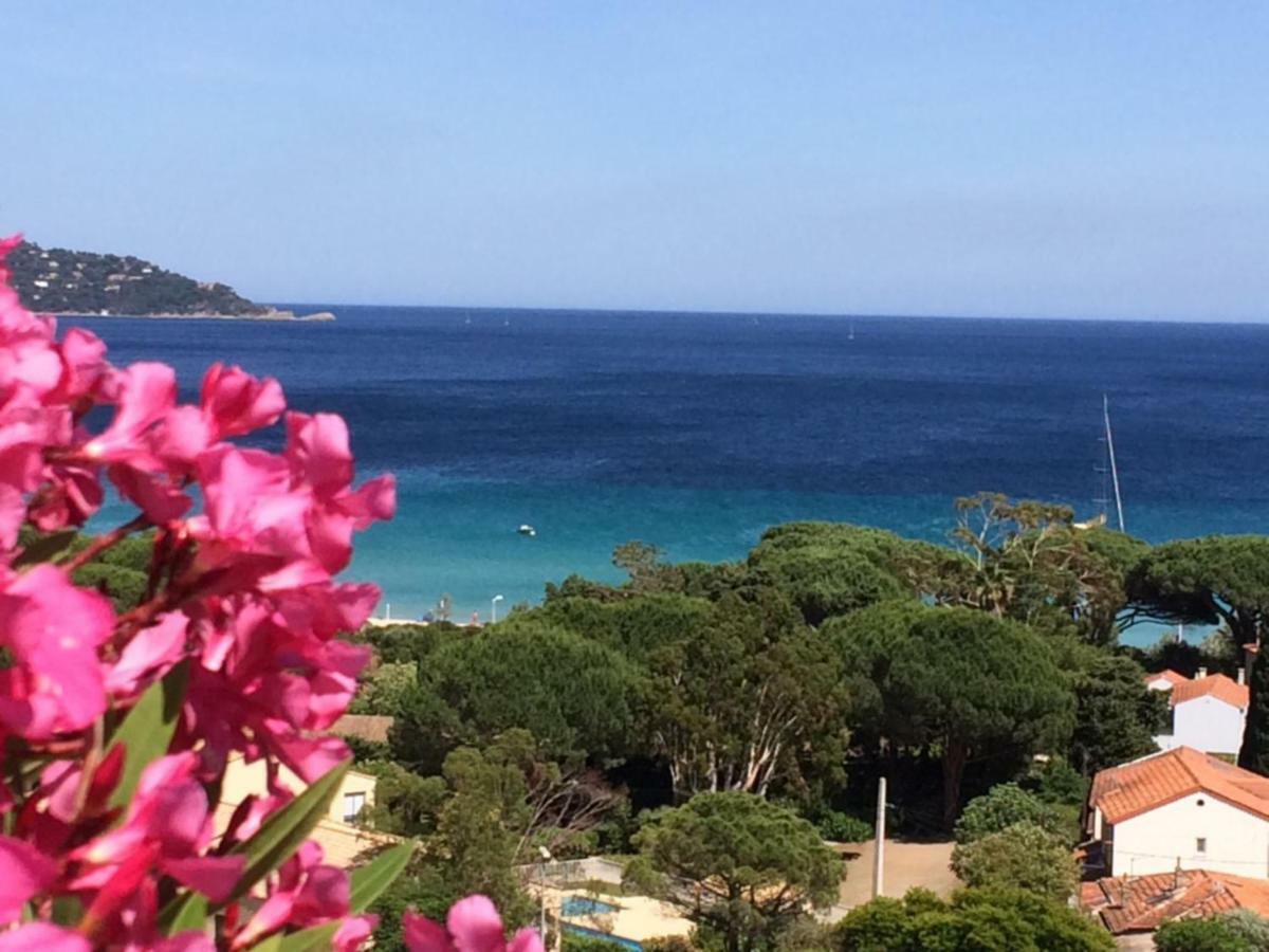 Appartement Altair Le Lavandou Exterior foto