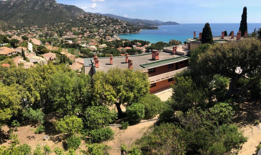 Appartement Altair Le Lavandou Exterior foto